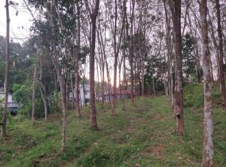 Residential Land for Sale in Kollam, Kottarakkara, Kunnicode