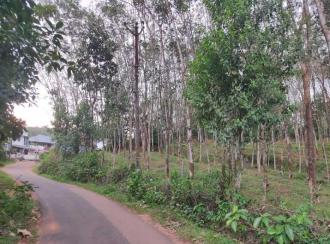 Residential Land for Sale in Kollam, Kottarakkara, Kunnicode
