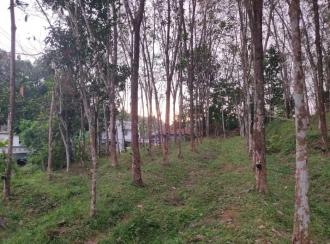 Residential Land for Sale in Kollam, Kottarakkara, Kunnicode