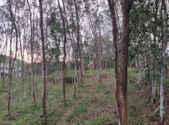 Residential Land for Sale in Kollam, Kottarakkara, Kunnicode