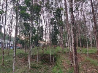 Residential Land for Sale in Kollam, Kottarakkara, Kunnicode