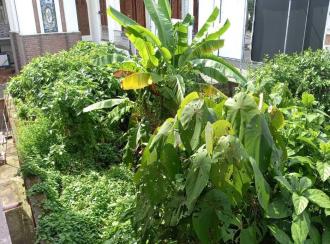 Commercial Land for Sale in Thrissur, Pudukad, Pudukkad