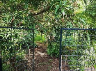 Residential Land for Sale in Thrissur, Thrissur town, Thrissur