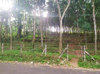Agricultural Land for SaleAlleppey, Chengannur, Mulakuzha