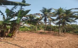 Residential Land for Sale in Kollam, Kottarakkara, Kottarakkara