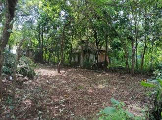 Residential Land for SaleErnakulam, Paravur, Paravur