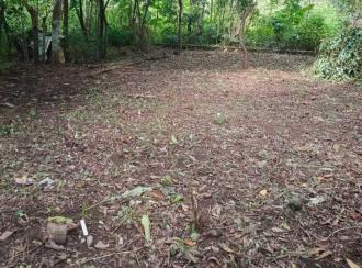 Residential Land for Sale in Ernakulam, Paravur, Paravur