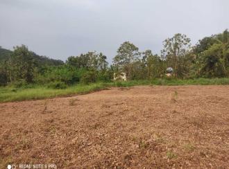 Residential Land for SaleKollam, Kottarakkara, Kottarakkara
