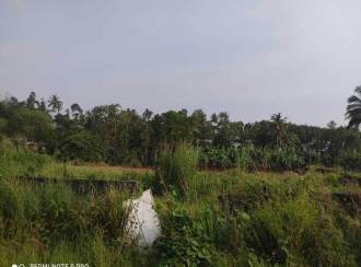 Residential Land for Sale in Kollam, Kottarakkara, Kottarakkara