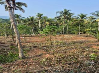 Residential Land for SaleMalappuram, Kondotty, Kondotty