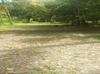 Residential Land for SaleThrissur, Ollur, Ollur