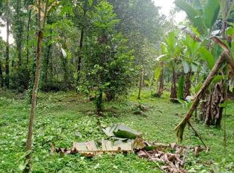 Residential Land for Sale in Pathanamthitta, Mallappally, Puramattom