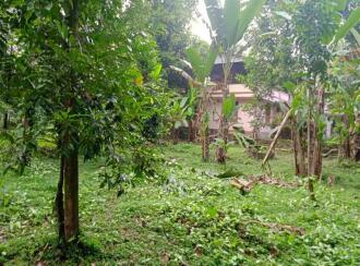 Residential Land for Sale in Pathanamthitta, Mallappally, Puramattom