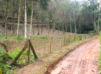 Residential Land for SalePathanamthitta, Mallappally, Kunnamthanam