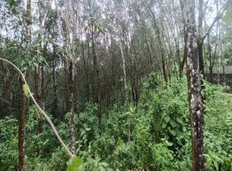 കൃഷി ഭൂമി വില്പനയ്ക്ക് Pathanamthitta, Konni, Murinjakal