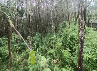 കൃഷി ഭൂമി വില്പനയ്ക്ക് Pathanamthitta, Konni, Murinjakal