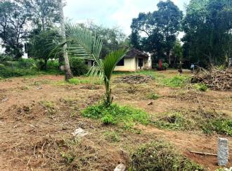 Residential Land for SaleAlleppey, Mavelikara, Kallumala