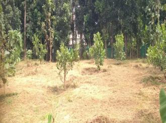 Residential Land for Sale in Malappuram, Nilambur, Mambad