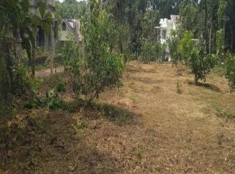 Residential Land for Sale in Malappuram, Nilambur, Mambad