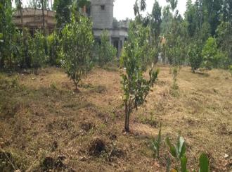 Residential Land for Sale in Malappuram, Nilambur, Mambad