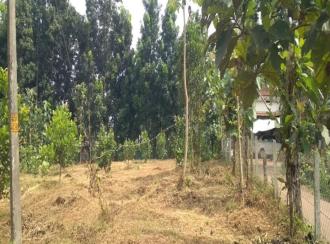 Residential Land for Sale in Malappuram, Nilambur, Mambad