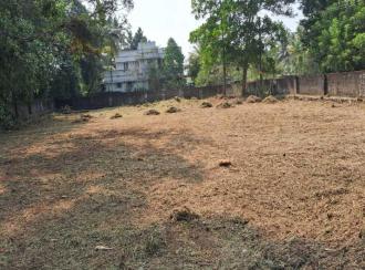 Residential Land for Sale in Ernakulam, Tripunithura, Puthiyakaavu