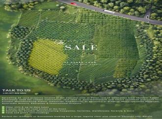 Residential Land for SaleThrissur, Kunnamkulam, Velur