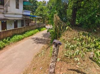 Residential Land for SaleKollam, Anchal, Anchal