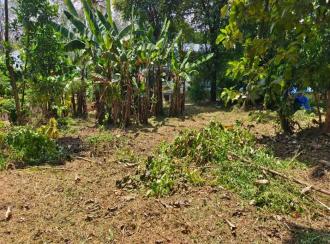 Residential Land for Sale in Kollam, Anchal, Anchal