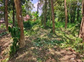 Residential Land for Sale in Kollam, Anchal, Anchal