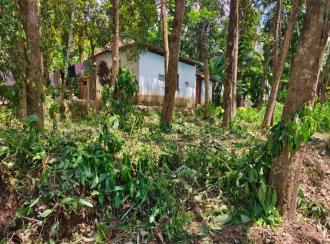 Residential Land for Sale in Kollam, Anchal, Anchal