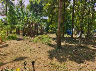 Residential Land for Sale in Kollam, Anchal, Anchal
