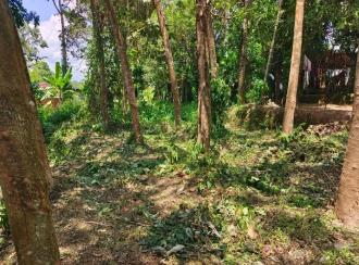 Residential Land for Sale in Kollam, Anchal, Anchal