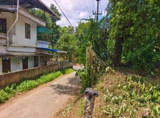 Residential Land for Sale in Kollam, Anchal, Anchal