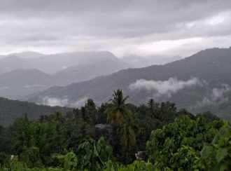 Agricultural Land for SaleKannur, Alakode, Alakode
