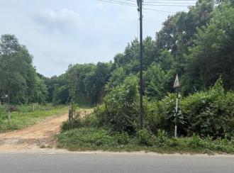 Residential Land for Sale in Palakkad, Chittur, Koduvayur