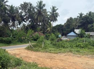 Residential Land for Sale in Palakkad, Chittur, Koduvayur