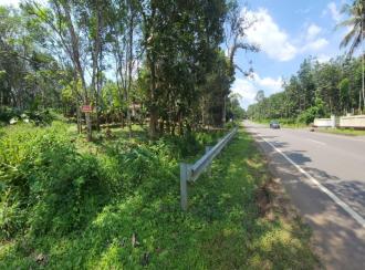 Residential Land for Sale in Kottayam, Kanjirapally, Cheruvally
