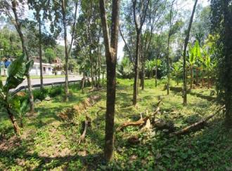 Residential Land for Sale in Kottayam, Kanjirapally, Cheruvally