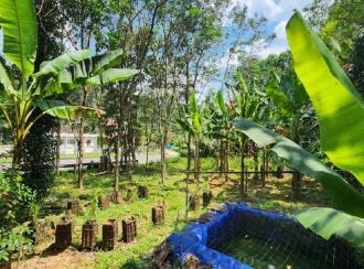 Residential Land for Sale in Kottayam, Kanjirapally, Cheruvally