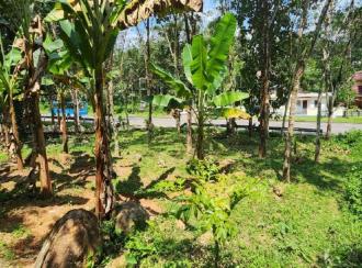 Residential Land for Sale in Kottayam, Kanjirapally, Cheruvally