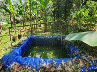 Residential Land for Sale in Kottayam, Kanjirapally, Cheruvally