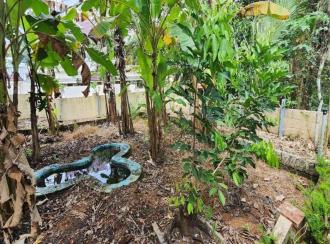 Residential House Villa for Sale in Kottayam, Changanassery, Nadakkapadam