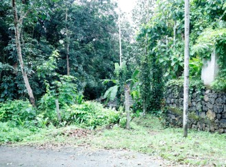 വാസയോഗ്യമായ ഭൂമി വില്പനയ്ക്ക് 