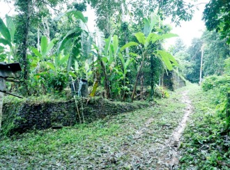 വാസയോഗ്യമായ ഭൂമി വില്പനയ്ക്ക് കോട്ടയം, Pampady, 13th mile