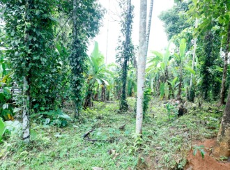 വാസയോഗ്യമായ ഭൂമി വില്പനയ്ക്ക് കോട്ടയം, Pampady, 13th mile