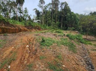 Residential Land for Sale in Kottayam, Kottayam town, Areeparambu