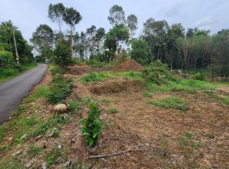 Residential Land for Sale in Kottayam, Kottayam town, Areeparambu