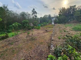 Residential Land for Sale in Kottayam, Kottayam town, Areeparambu