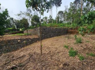 Residential Land for Sale in Kottayam, Kottayam town, Areeparambu